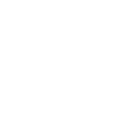 Touger Thao Logo
